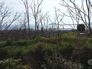 Terreno in vendita a Cigliano