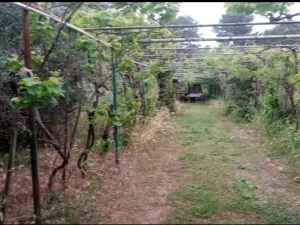 Terreno in vendita a Piombino