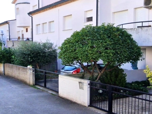 12 locali in vendita a Ravenna