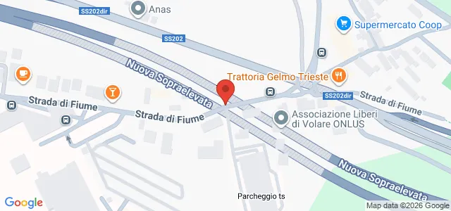 Cattinara, 34139 Trieste TS