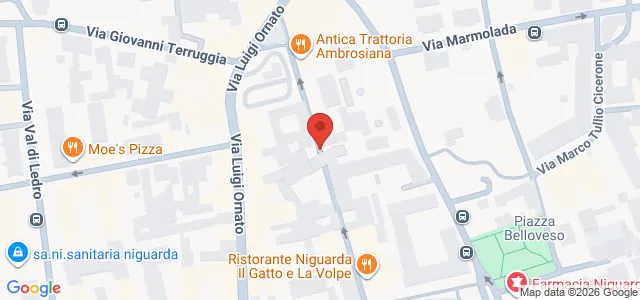 Via Paulucci di Calboli Fulcieri, 20162 Milano MI