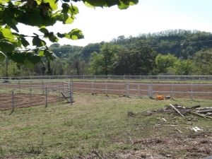 Terreno in affitto a Reggello