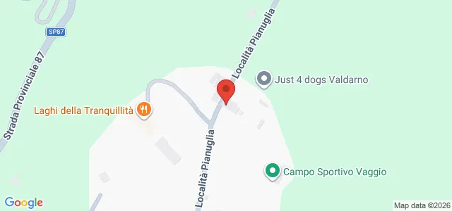 Località Pianuglia, 59A, 50066 Reggello FI