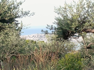 Terreno in vendita a Formia